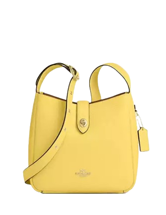 Coach Hadley Convertible Crossbody Bag