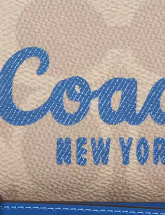 Coach Long Zip Around Wallet In Signature Canvas With Coach Graphic