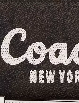 Coach Long Zip Around Wallet In Signature Canvas With Coach Graphic