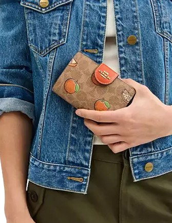 Coach Medium Corner Zip Wallet In Signature Canvas With Orange Print