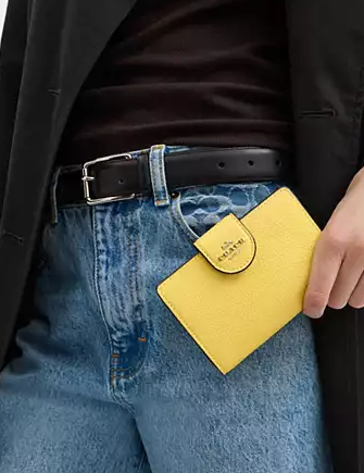 Coach Medium Corner Zip Wallet