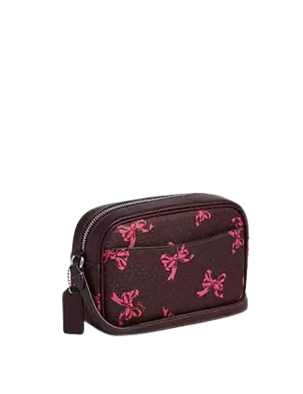 Coach Mini Jamie Camera Bag With Bow Print