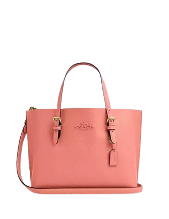 Coach Mollie Tote 25