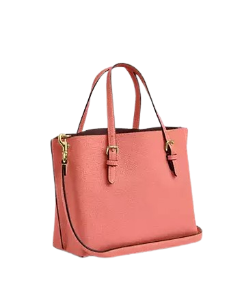 Coach Mollie Tote 25