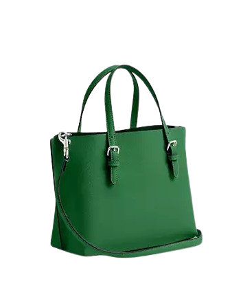 Coach Mollie Tote 25