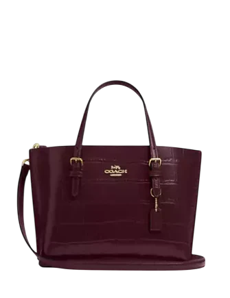 Coach Mollie Tote Bag 25