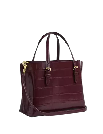 Coach Mollie Tote Bag 25