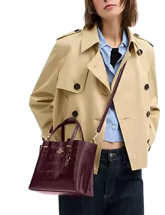 Coach Mollie Tote Bag 25