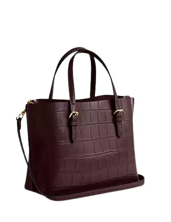 Coach Mollie Tote Bag 25
