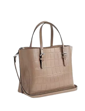 Coach Mollie Tote Bag 25