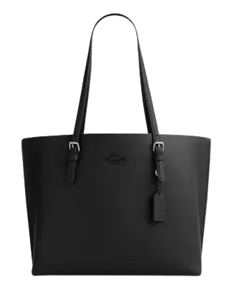 Coach Mollie Tote Bag