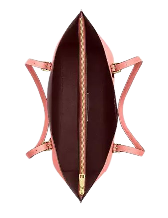 Coach Mollie Tote Bag