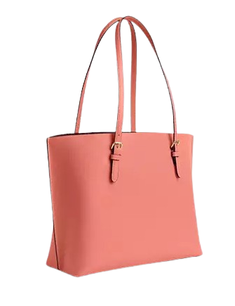 Coach Mollie Tote Bag