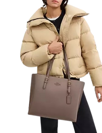 Coach Mollie Tote Bag