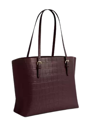 Coach Mollie Tote Bag