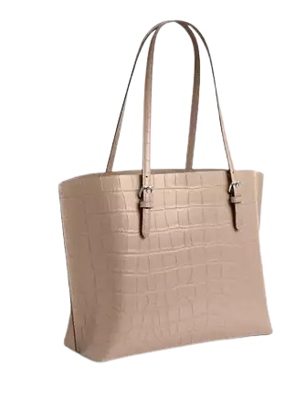 Coach Mollie Tote Bag