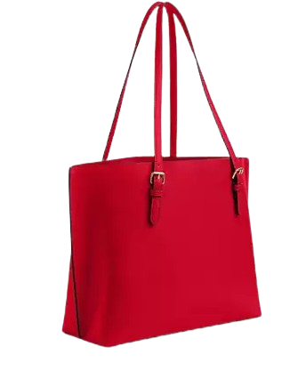 Coach Mollie Tote