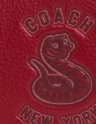 Coach New Year Corner Zip Wristlet With Snake Graphic