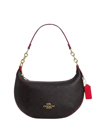 Coach Payton Hobo Bag In Signature Canvas