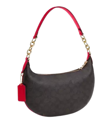 Coach Payton Hobo Bag In Signature Canvas