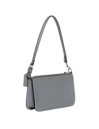 Coach Pouch Bag