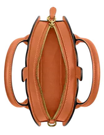 Coach Pumpkin Bag