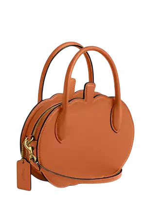 Coach Pumpkin Bag