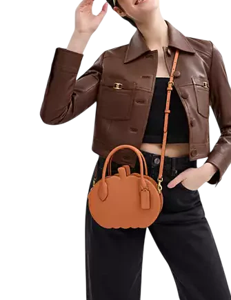 Coach Pumpkin Bag