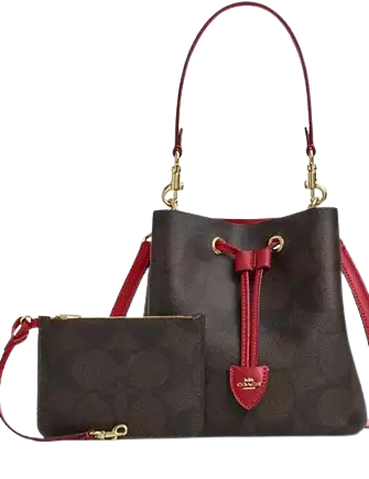 Coach Rowan Bucket Bag In Maxi Signature Canvas