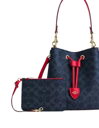 Coach Rowan Bucket Bag In Signature Canvas
