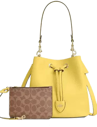 Coach Rowan Bucket Bag