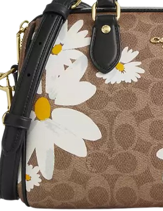 Coach Rowan Satchel Bag In Signature Canvas With Floral Print