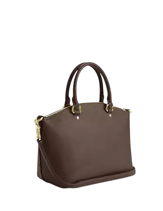 Coach Sadie Satchel Bag