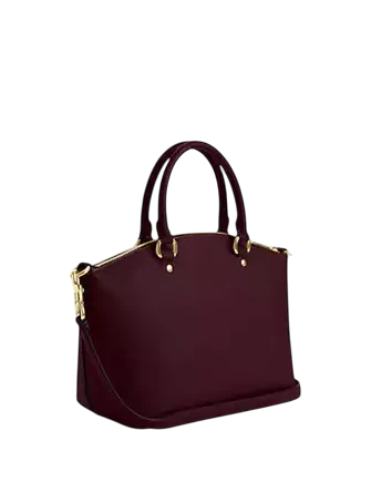 Coach Sadie Satchel Bag