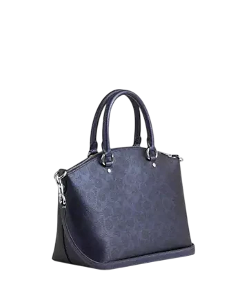 Coach Sadie Satchel Bag In Signature Canvas