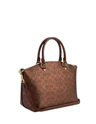 Coach Sadie Satchel Bag In Signature Canvas