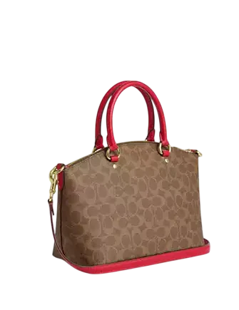 Coach Sadie Satchel Bag In Signature Canvas