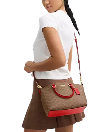 Coach Sadie Satchel Bag In Signature Canvas