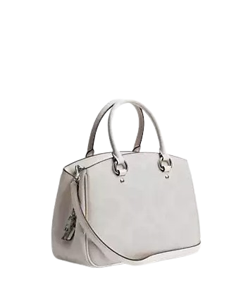 Coach Savannah Small Carryall Bag In Signature Canvas