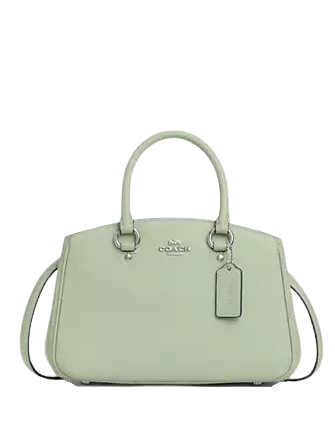 Coach Savannah Small Carryall Bag