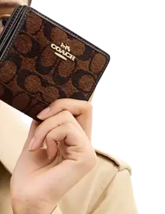 Coach Snap Wallet In Signature Chenille