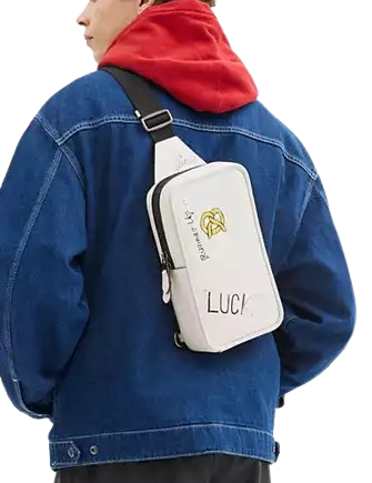 Coach Sullivan Pack With Sketch Print