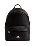Coach Taylor Small Backpack