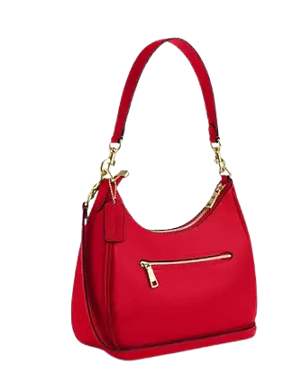Coach Teri Hobo Bag