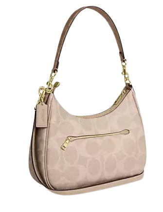 Coach Teri Hobo Bag In Blocked Signature Canvas