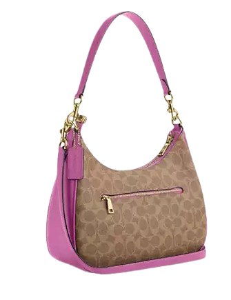 Coach Teri Hobo Bag In Signature Canvas