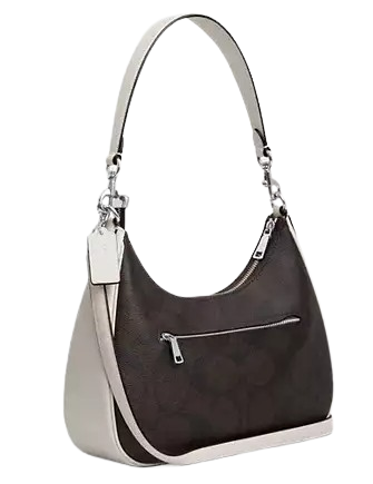 Coach Teri Hobo In Signature Canvas With Coach Graphic
