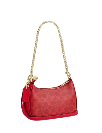 Coach Teri Mini Crossbody Bag In Signature Canvas