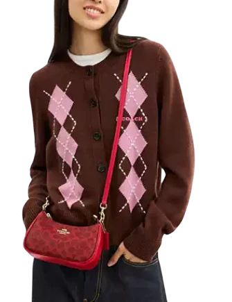 Coach Teri Mini Crossbody Bag In Signature Canvas