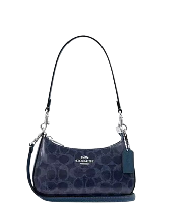 Coach Teri Mini Crossbody Bag In Signature Canvas